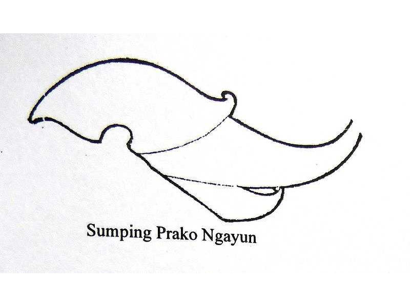 sumping prako ngayun-ear ornaments-sunarto 121